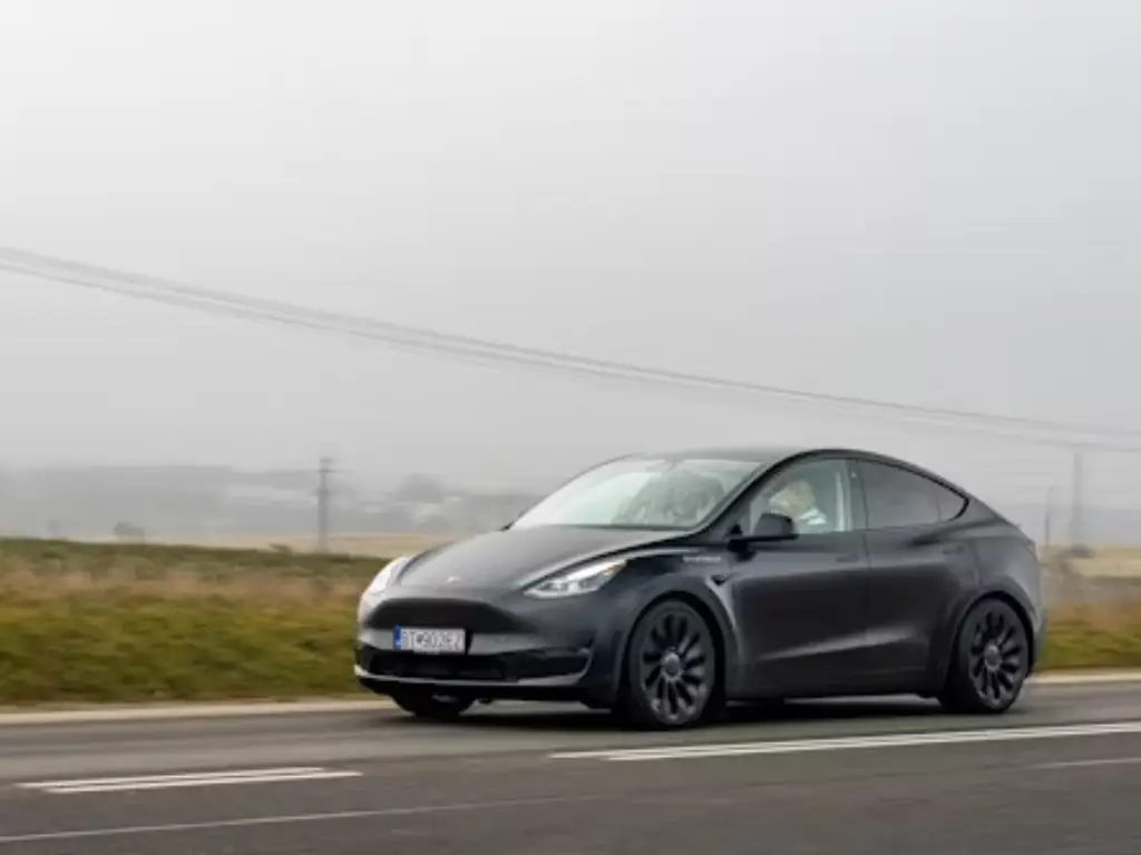 ppf tesla model y cost